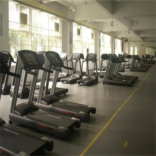 Enlio Multi Purpose Gym PVC Sports Flooring China Manufacturer
